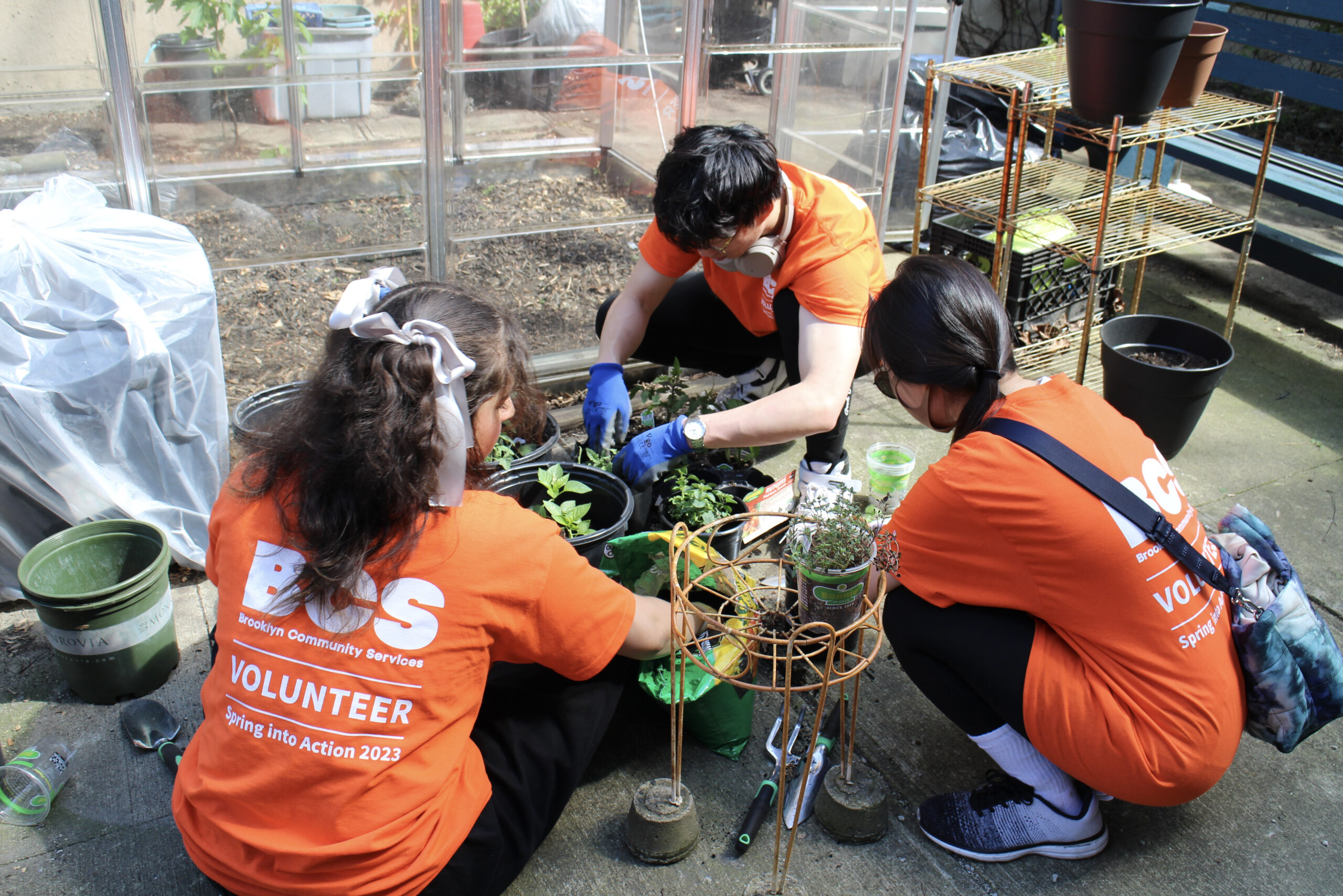BCS volunteers gardening